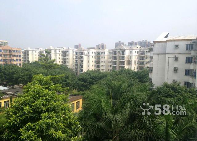 ݸ弲԰Է1-7ӹ̼װ޹