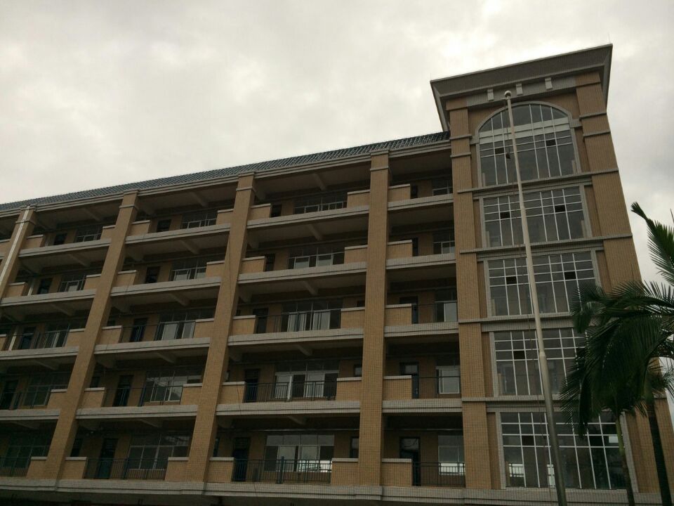 ݸжӶСѧ½ѧ¥ݰȫ